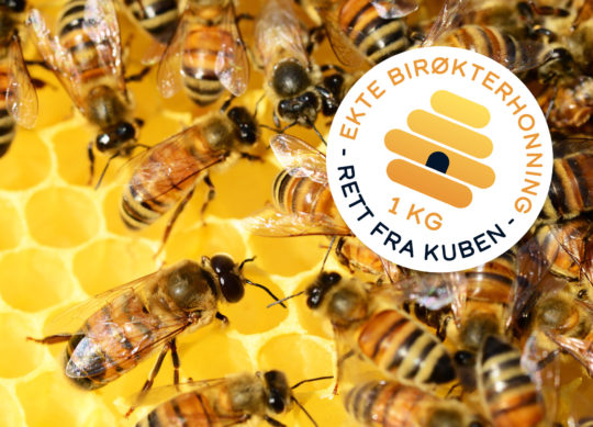 Bilde av bier på bikube med symbol, for DugnadPartner